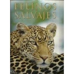 FELINOS SALVAJES - TOP THAT