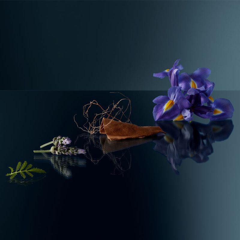 image-e60f9864686941b9982bd3c29b487be4