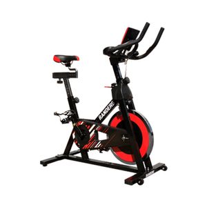 Bicicleta Fija Spinning ARG-880SP-R