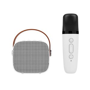 Combo Karaoke Dekkin Bluetooth Con Micrófono Y Efectos De Voz
