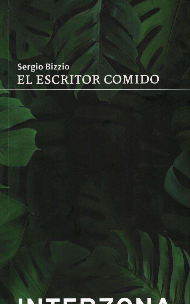 image-51b9a8a774f84531bb14afce3e2f9a90