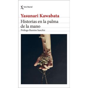 HISTORIAS EN LA PALMA DE LA MANO