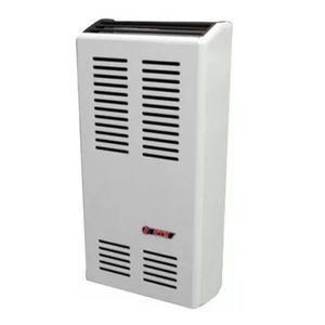 Calefactor L. Compacta CTZ 2500 T Natural Gas Envasado