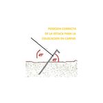 image-d83f26a8434049debe504ab58a764b33