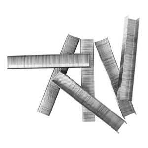 Grampas 12 X11,3 X 0,7mm Para Hsg1403 Ingco Sts0112