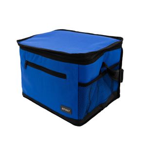 Bolso Conservadora Spinit Econoplus 12 Lts Playa Camping