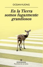 image-8c3cf575e31a4a58967a253a4ce61384