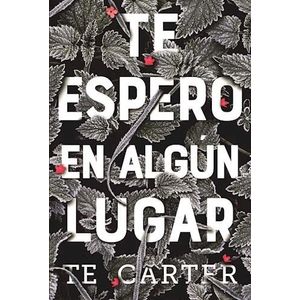 TE ESPERO EN ALGUN LUGAR - Carter, T.E.