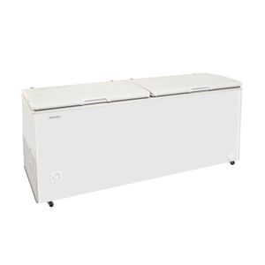 FREEZER BRIKET FR 5500 - BLANCO 535 LTS 2 PUERTAS HORIZONTAL