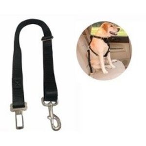 Cinturón Seguridad Perro Mascota