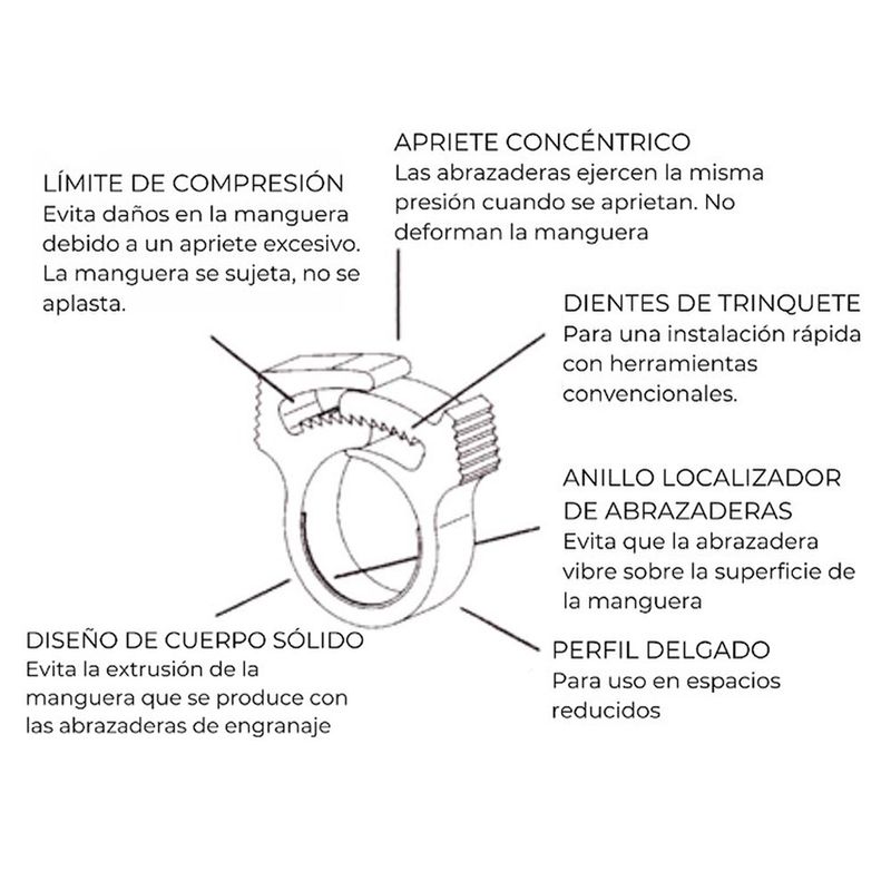 image-c604daea3e1c4342966b4455782ddf19