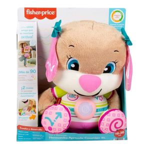 Fisher Price Hermanita Rie Y Aprende Conmigo Xl Hdy17 Mattel