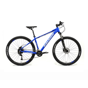 Bicicleta Raleigh Mojave 4.0 _ Rodado 29