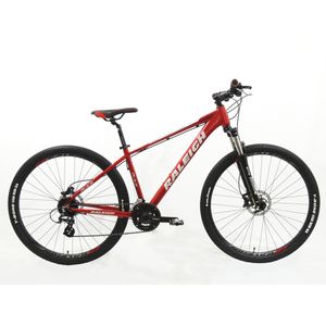 Bicicleta Raleigh Mojave 4.5 _ Rodado 29