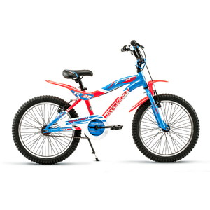 Bicicleta Raleigh MXR20 _ Rodado 20