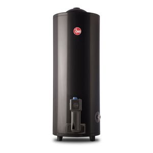 Termotanque Rheem 80 Litros - De Pie - Gas Natural